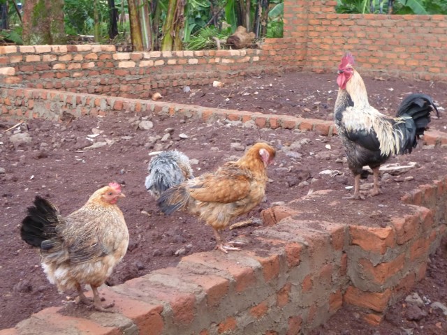 P1020871