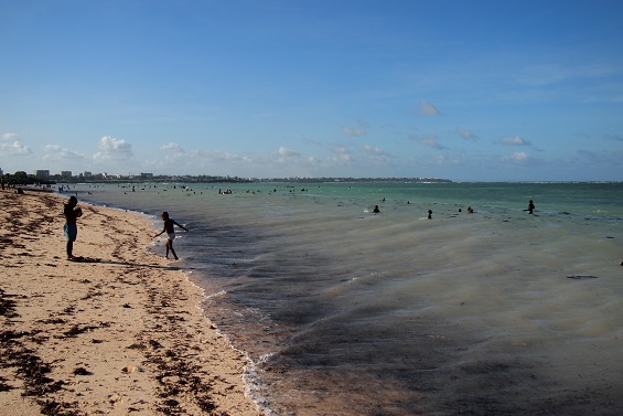 写真1:青年海外協力隊で派遣されたていた任地モンバサ(ケニア)の海