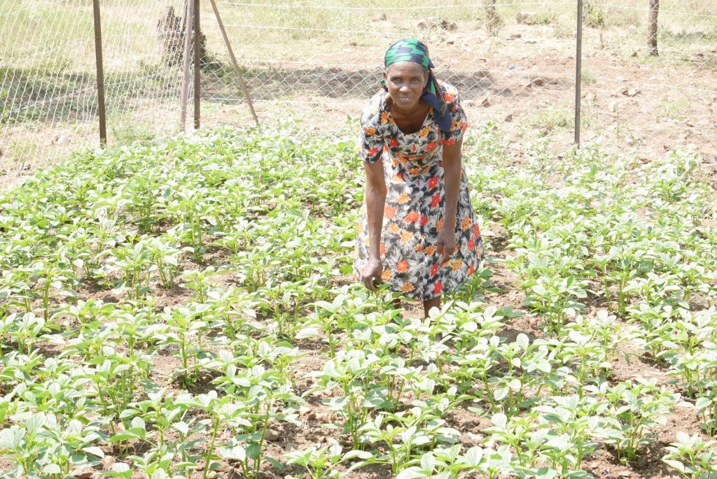ケニアレポート なぜ農業が必要 厳しい家計状況 Plas プラス アフリカの子どもを支える国際協力ngo